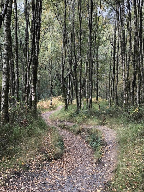 The Recovery Pathway - Take your first steps today!